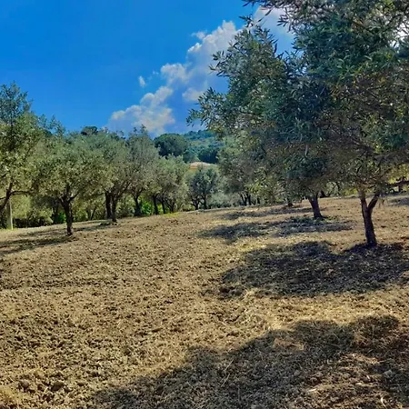 Antico Uliveto Soverato Superiore