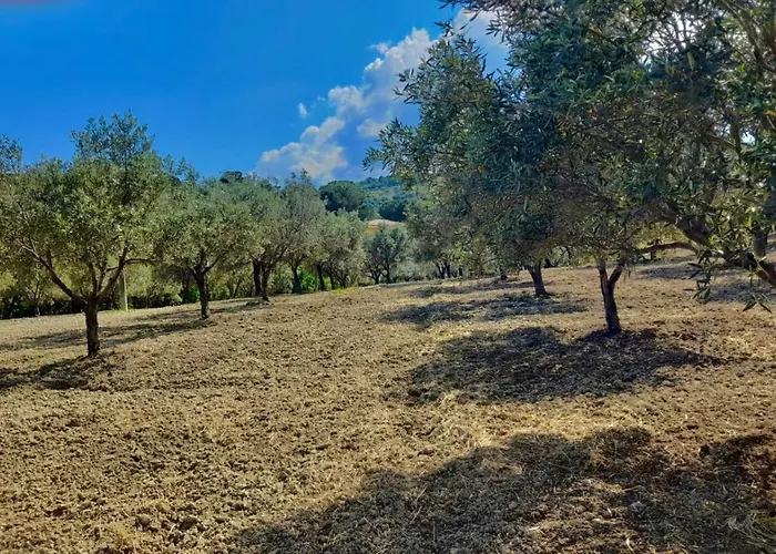 Antico Uliveto Soverato Superiore